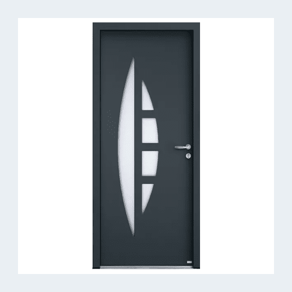 Porte entrée Apollo Gris anthracite
